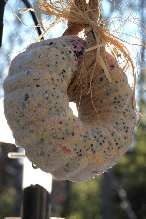 diy wreath - suet feeder for the birds