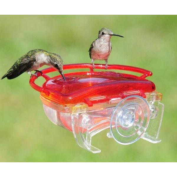 window hummingbird feeder - top 5 best hummingbird feeders