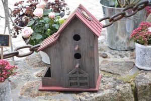 bird house - house wren nesting habits