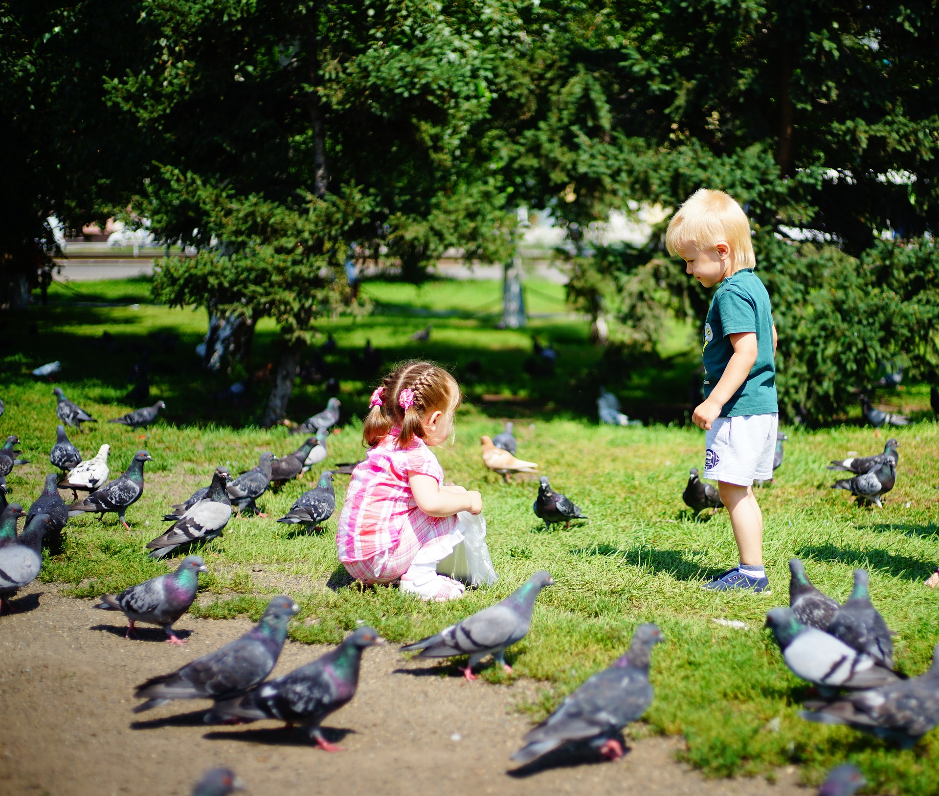 kids and pigeons - 6 effective ways to get rid of pigeons